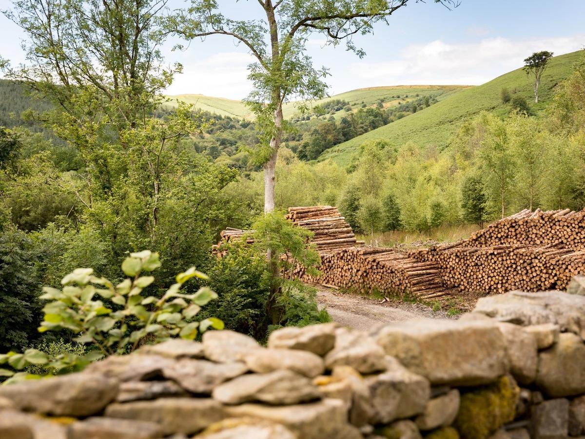 Red Kite Barn - Charming Boutique Barn Conversion Newbridge on Wye Экстерьер фото